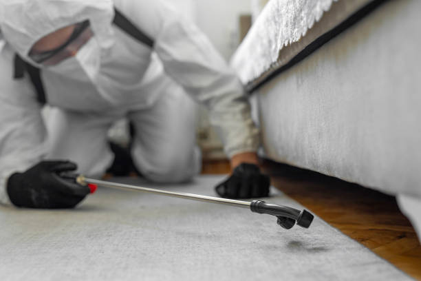 Professional Cockroach Control technician working in Clearwater, MN